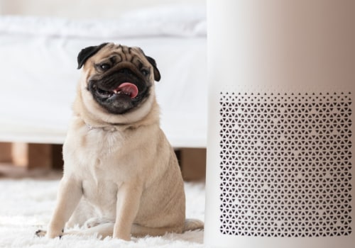 Do HEPA Filters Make a Difference in Your Home?