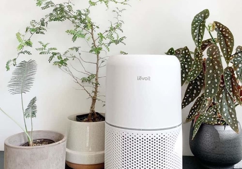 Is it Worth Buying an Air Purifier?